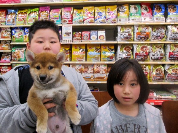 写真