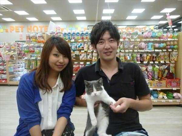 写真