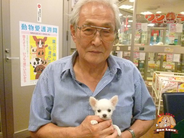 写真
