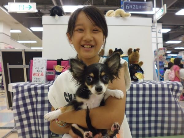 写真