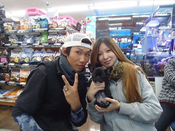 写真