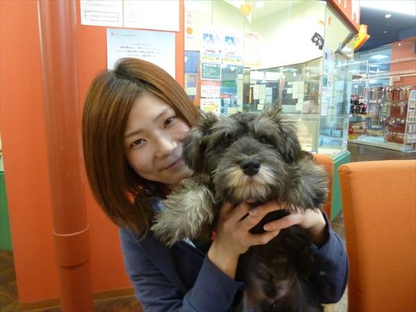 写真