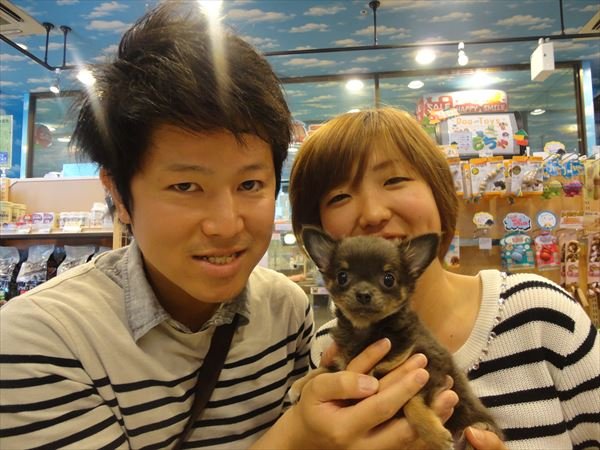 写真