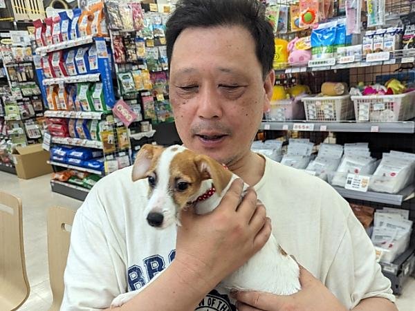 写真