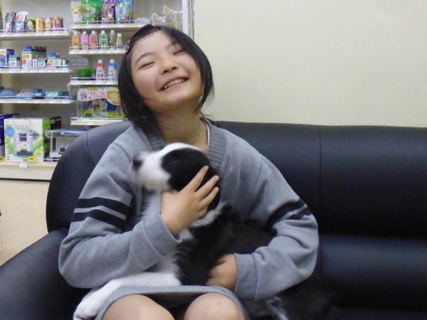 写真