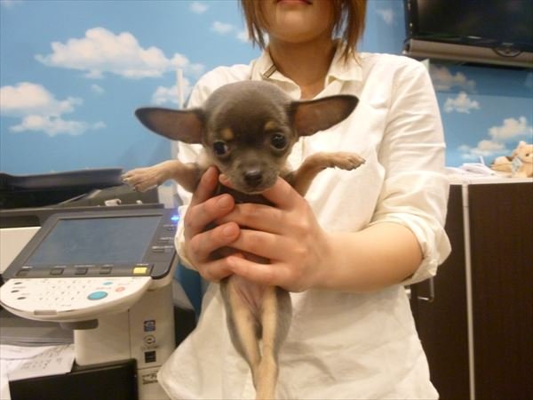 写真