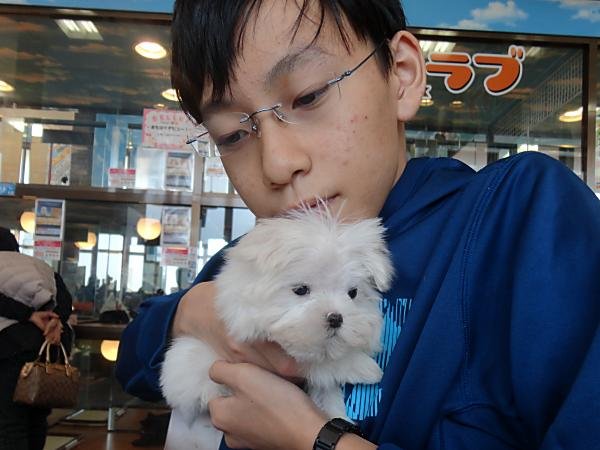 写真