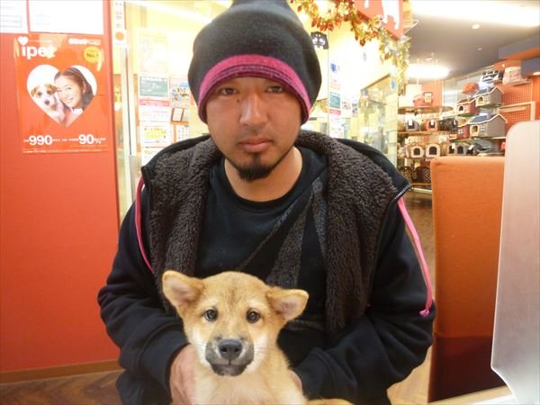 写真