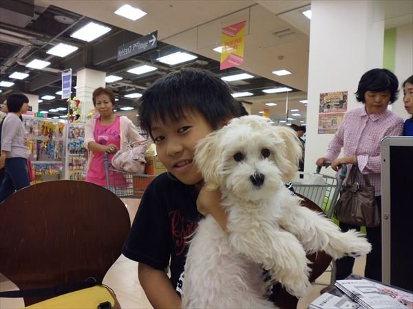 写真