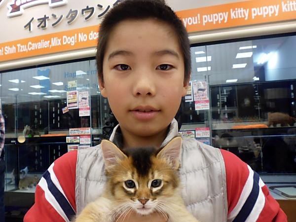 写真