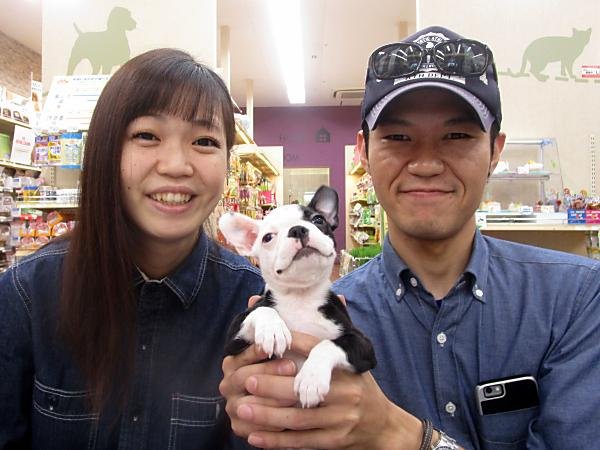 写真