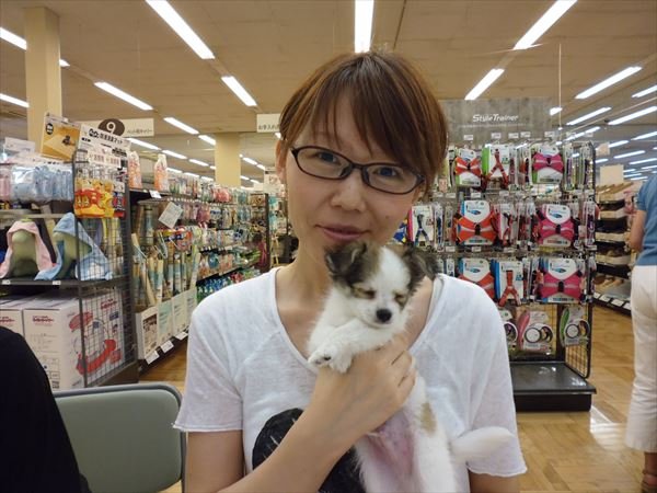 写真