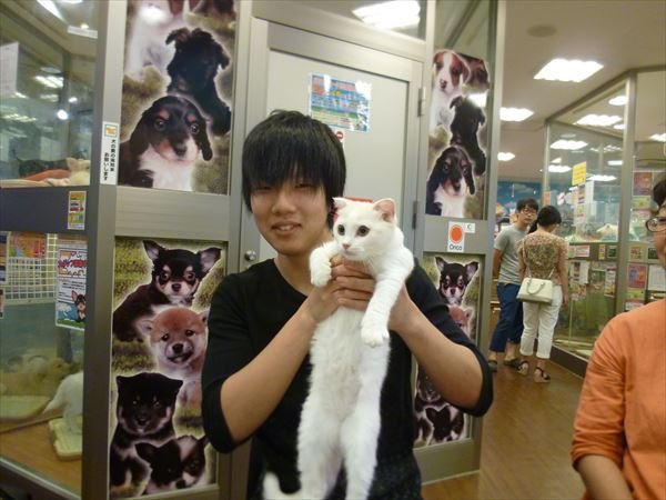 写真