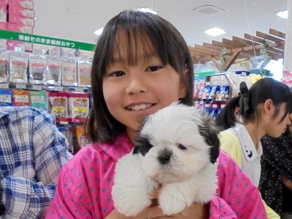写真
