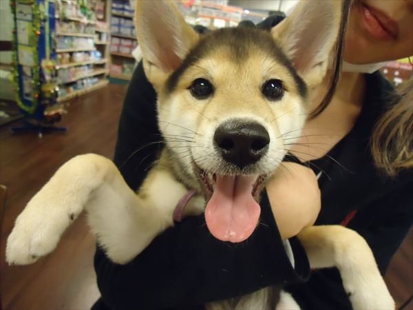 写真