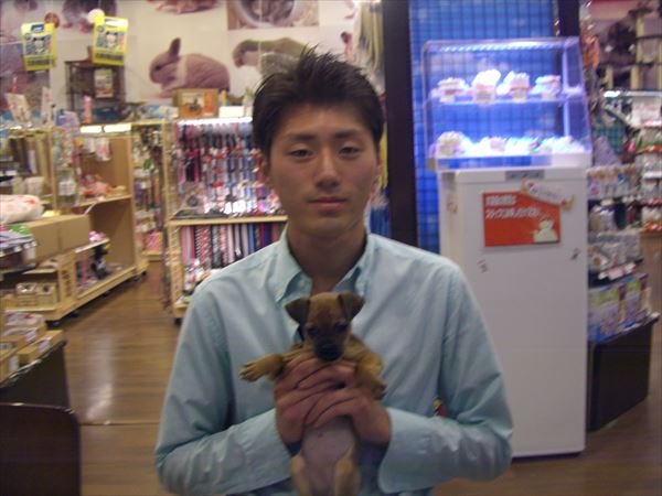 写真