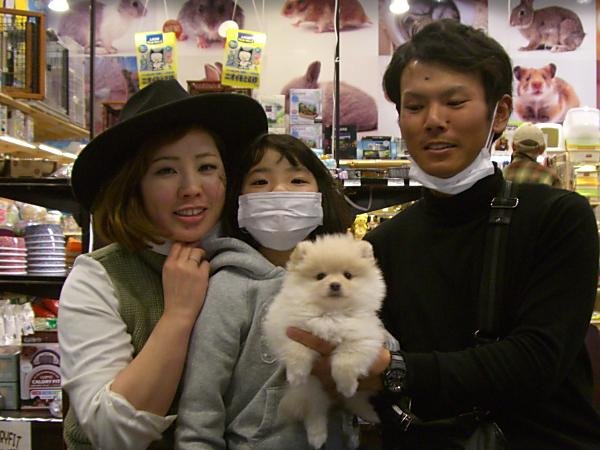 写真