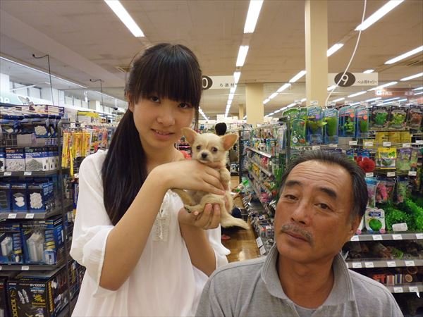 写真