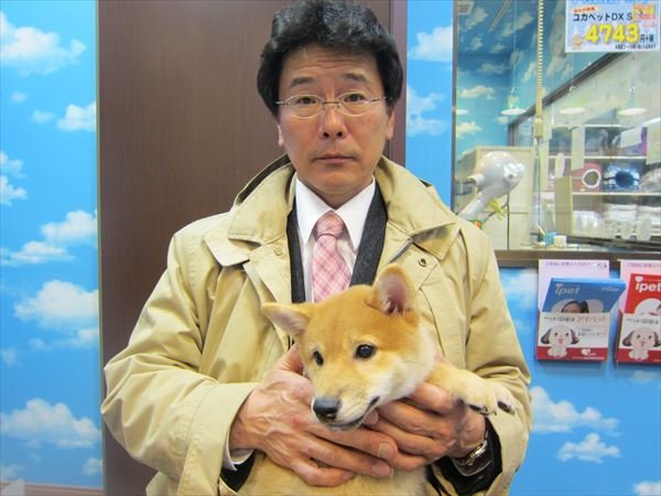写真
