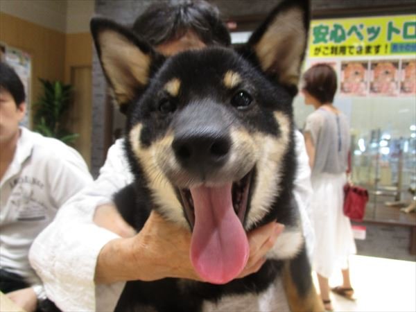 写真