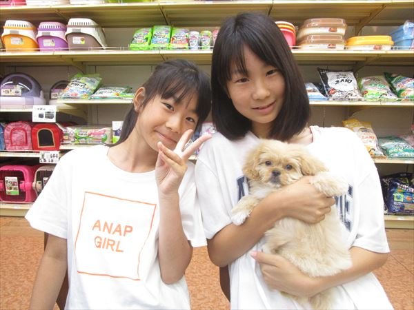 写真