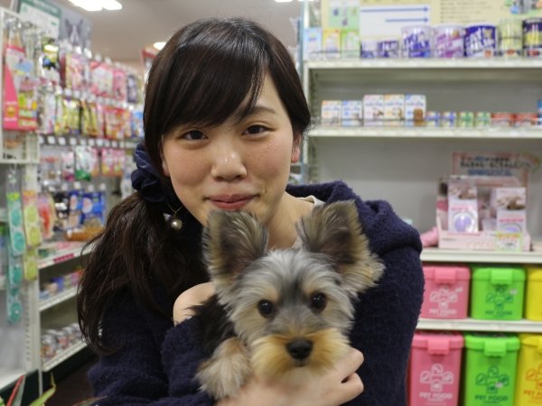 写真