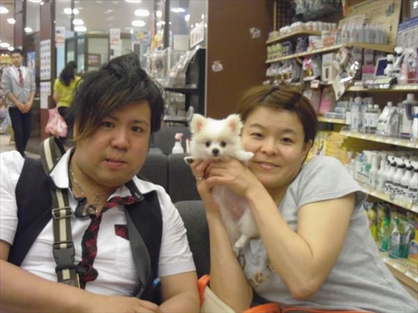 写真
