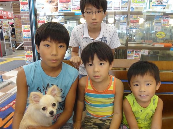 写真