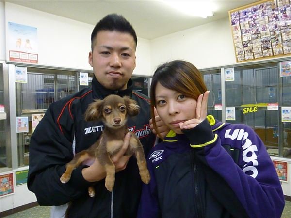 写真
