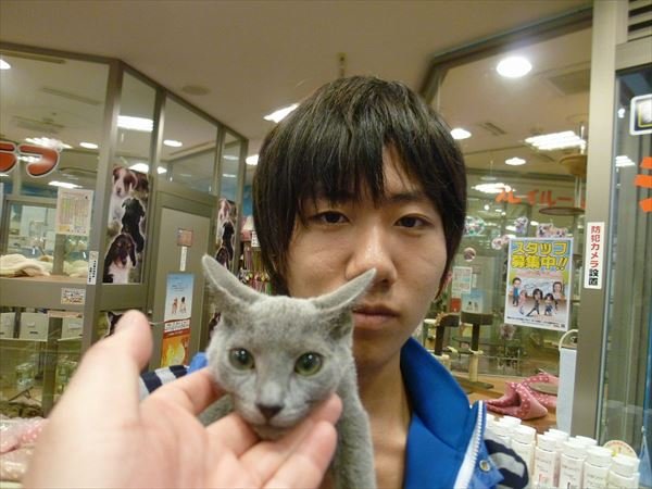 写真