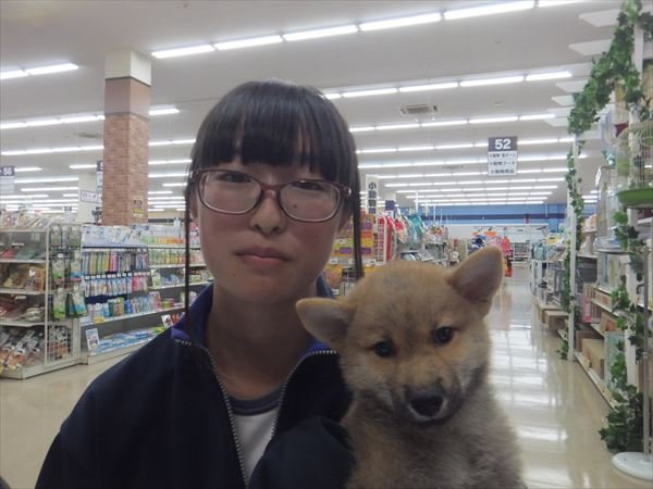 写真