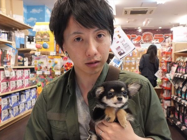 写真