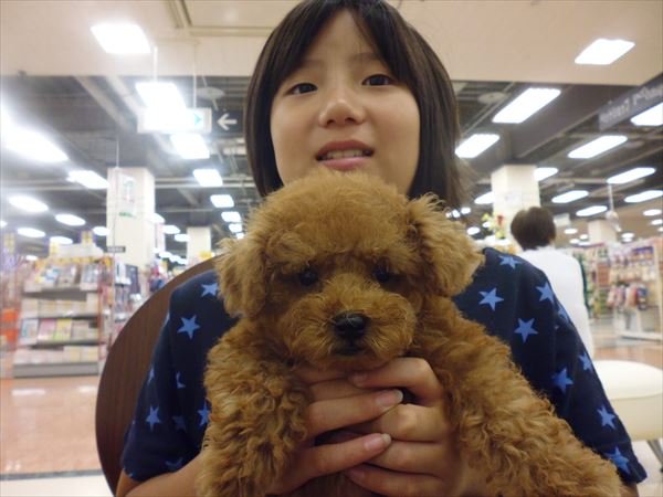 写真