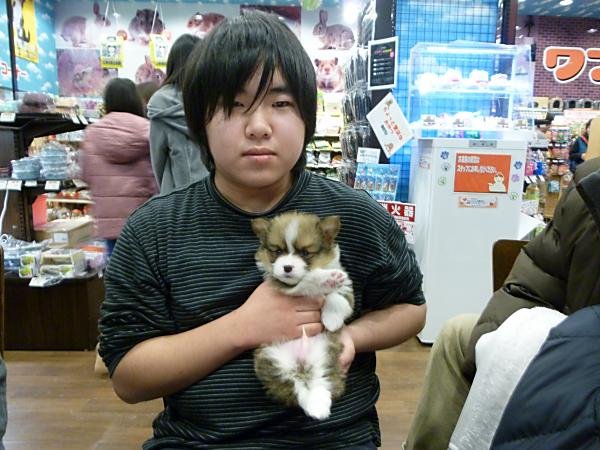 写真
