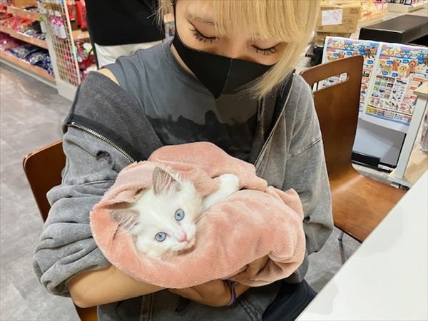 写真