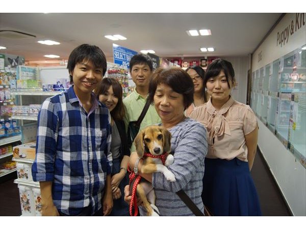 写真