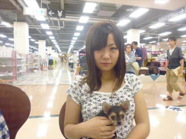 写真