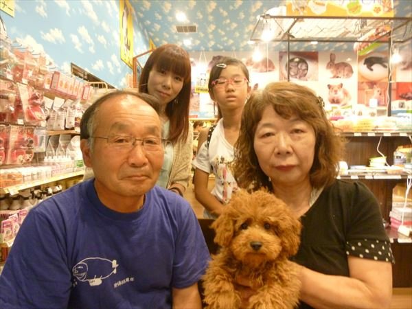写真