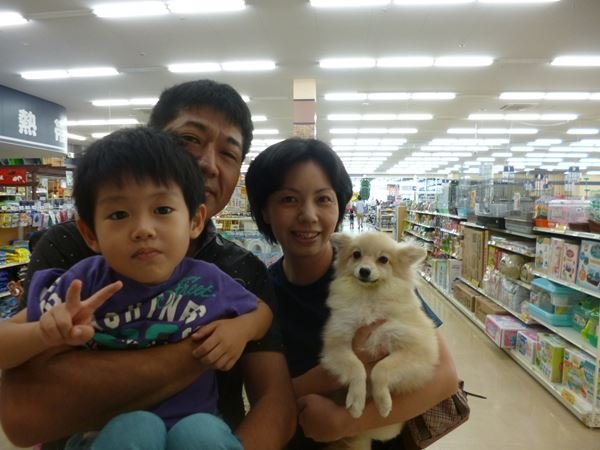写真