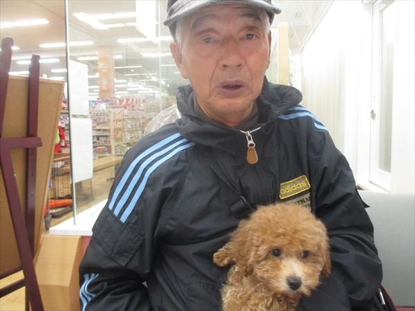 写真