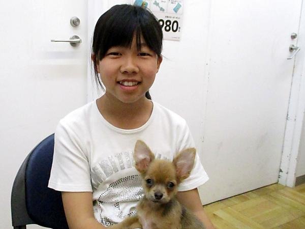写真