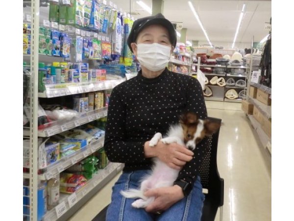 写真