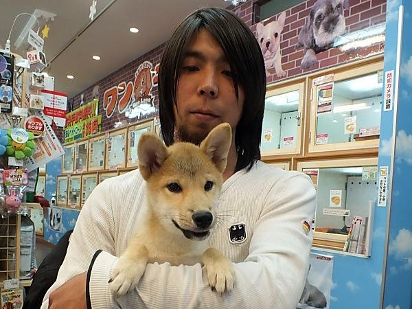 写真