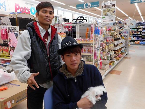 写真