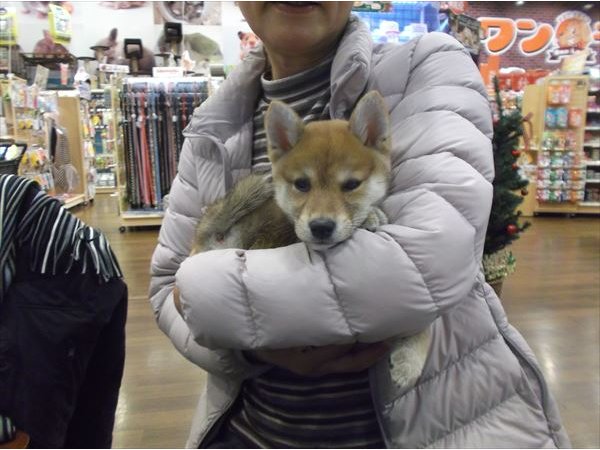 写真