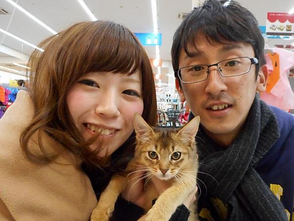 写真