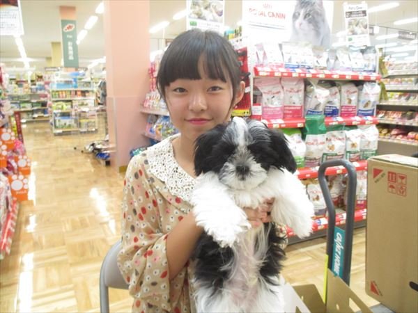 写真
