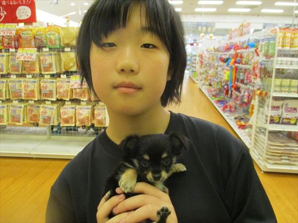 写真