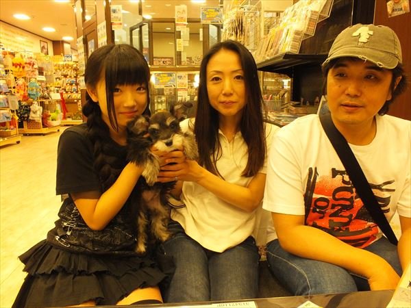 写真