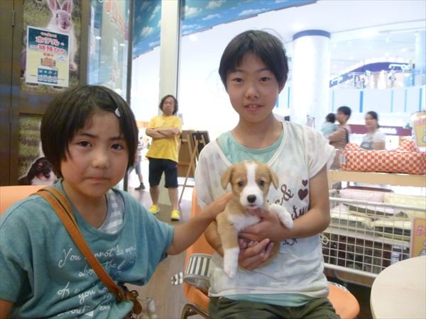 写真